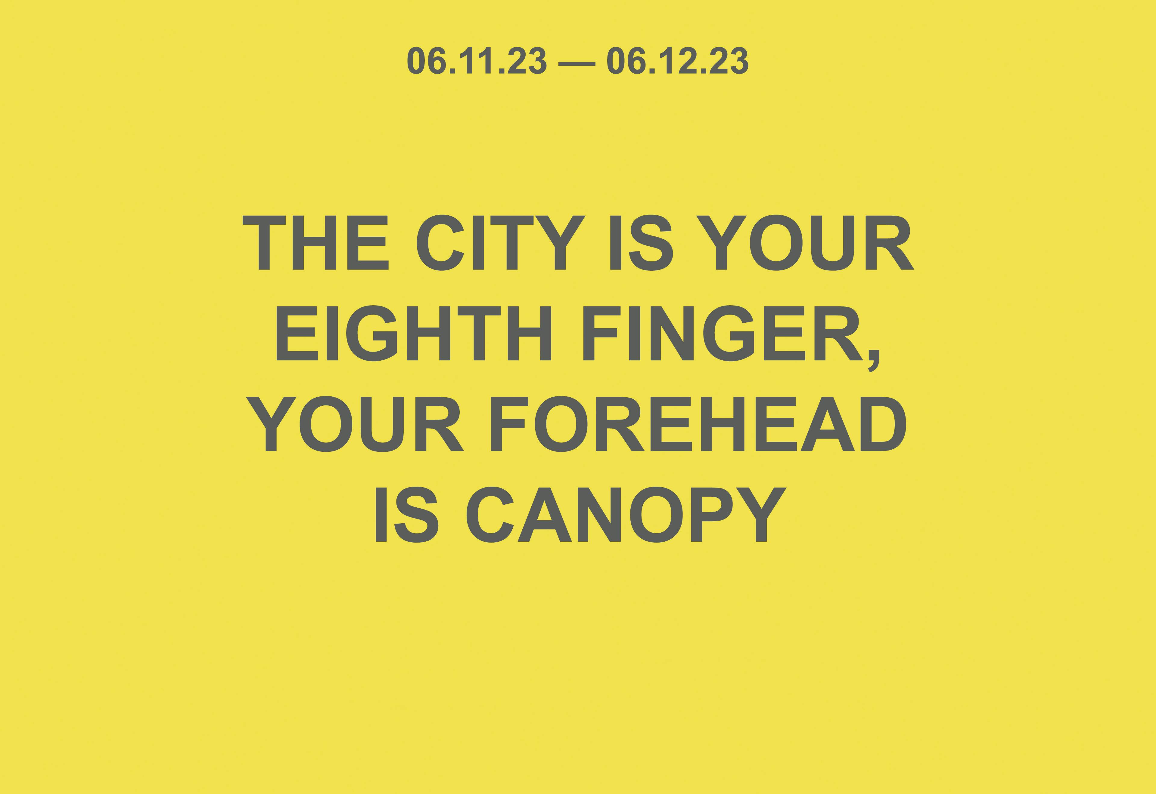 The City is Your Eighth Finger,  Your Forehead is Canopy 